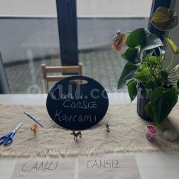 Canlı-Cansız Kavramları