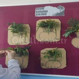 Çevre Koruma Kulübü