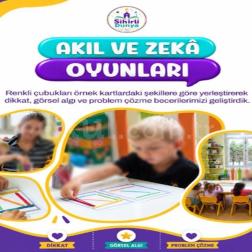 🧠🎨 Akıl ve Zekâ Oyunları