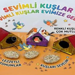 🐦🏠 Sevimli Kuş Evlerimiz!