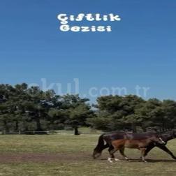 🐄🌿 Çiftlik Gezimiz!