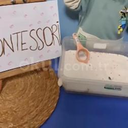 🥄🌿 Montessori Kaşık Kullanma Çalışması!