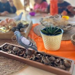 🐦🧡 Bir Şişe, Biraz Hayal, Çokça Sevgi!