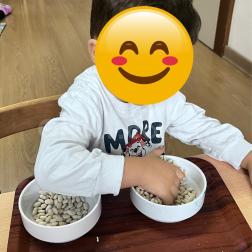 Montessori Çalışmaları