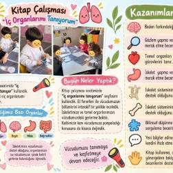📚 Kitap Çalışması – İç Organlarımı Tanıyorum 