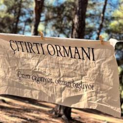 🌳 Çıtırtı Ormanı'nda Toprakla Buluşuyoruz!
