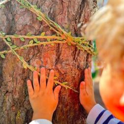 Minik Eller, Kocaman Dokunuşlar: Ormanla Bağ Kuruyoruz! 🌲👐