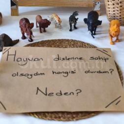 Scamper Etkinliği: Hayvan Dişlerine Sahip Olsaydım Hangisi Olurdum?