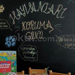 Hayvanları Koruma Günü