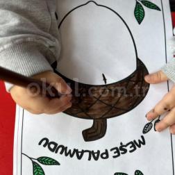 Sonbaharın Minik İzi: Meşe Palamudu Etkinliği 🍂