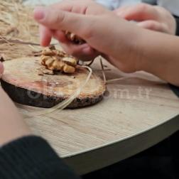"Minik Eller, Büyük Keşifler: Ceviz Kırma Günümüz.