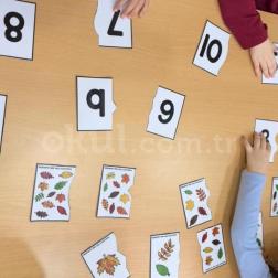 Sonbahar Temalı Sayı-Miktar ve Kavram Eşleştirme Etkinliği