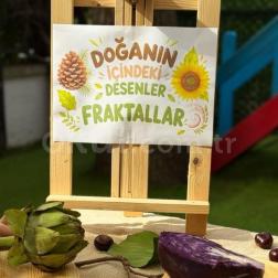 Doğanın Gizli Kodları: Doğadaki Desenler ve Fraktallar 🔍🌿