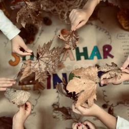 🍁 Minik Keşifçilerle Sonbahar Ekinoksu'nu Karşılıyoruz! 🍂✨
