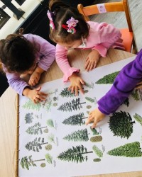 Permakültür ve Kavram Atölyesi