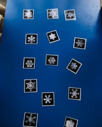 Fen ve Doğa Atölyesi