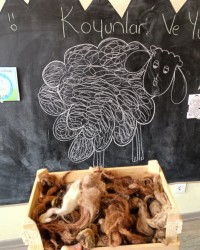 Permakültür ve Sanat Atölyesi