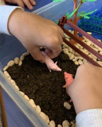 Sensory Play  (Çiftlik Hayvanları)