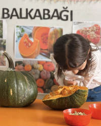 Meyve/ Sebze Günlerimiz