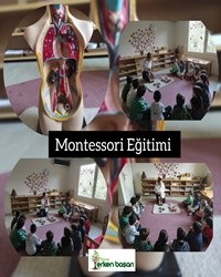 Montesorri Eğitimi