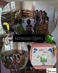 Montessori Eğitimi
