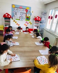 Örüntü Çalışması