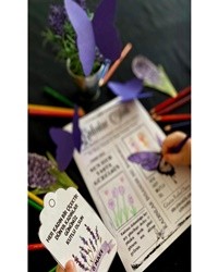 8 Mart Dünya Kadınlar Günü