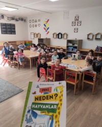 HAYVANLARI ÖĞRENİYORUZ