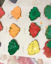 Geri Dönüşüm Etkinlikleri