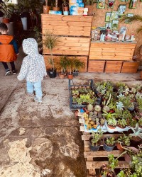 ÇİÇEK SERASINA GEZİ