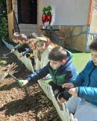 Domates Fidelerimizi Dikiyoruz