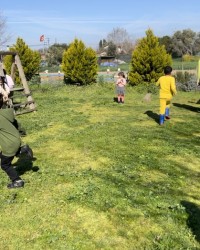 Orman okulu güzel bahçe