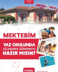 Yaz Okulu