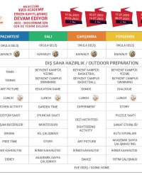 Yaz Okulu Ders Programı