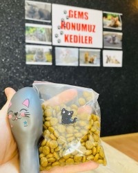 Gems Konumuz  Kediler