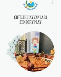 SENSORY PLAY ATÖLYESİ
