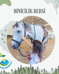 BİNİCİLİK DERSİ