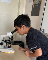 MİKROSKOP İNCELEMESİ