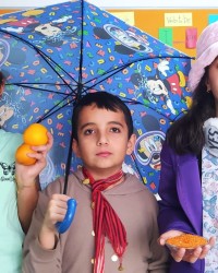 TÜRKİYE'DE GÖRÜLEN İKLİMLER