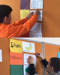 C'EST QUELLE COULEUR?