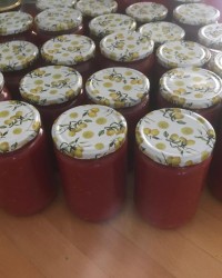 ORGANİK VE MEVSİMİNDE BESLENME