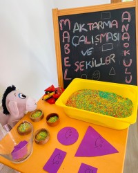 Aktarma Çalışma ve Şekiller