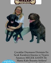 4 EKİM HAYVANLARI KORUMA GÜNÜ