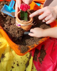 Miniklerimiz kaktüslerini ekiyor :)