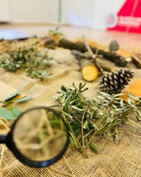 DOĞA TEMELLİ YAKLAŞIM