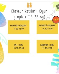 Mini English Academy Ebeveynli Oyun Grubu