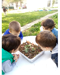 Gems Atölyesi- Doğa Günümüz