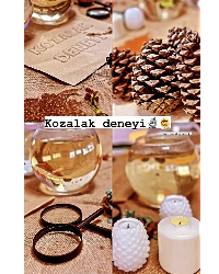 Kozalak Deneyi