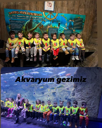 Akvaryum Gezimiz
