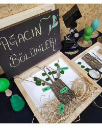 Fen ve Doğa Atölyesi